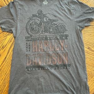 Harley-Davidson Grey Men’s Slim Fit Shirt